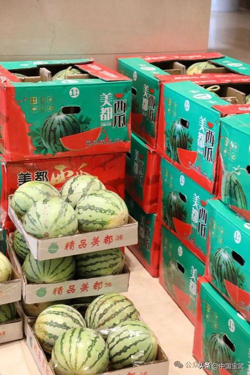 合肥吃瓜最新事件爆料新闻,揭秘背后真相与网络热议