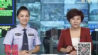 中央8台在线直播观看,精彩剧集不间断，尽享视听盛宴