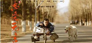 忠爱无言电影在线观看,感人至深的动物情感故事，在线观看感动人心