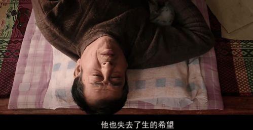 忠爱无言电影在线观看,感人至深的动物情感故事，在线观看感动人心