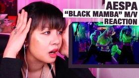 我的吸血鬼学姐日本歌,一场跨越时空的浪漫邂逅