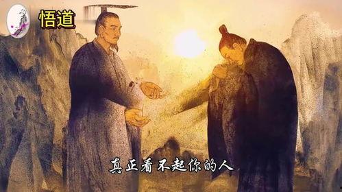 人生悟道图片,图解生命真谛的视觉启示