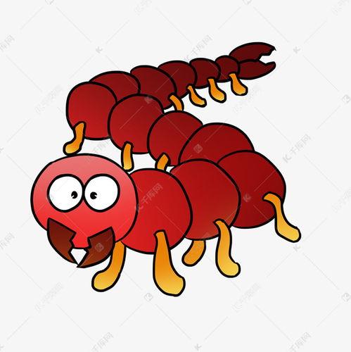 蜈蚣图片大全,千姿百态的蜈蚣图片大全赏析