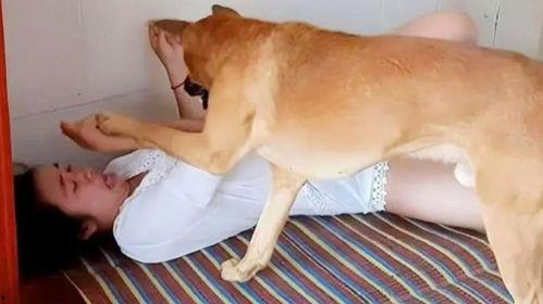视频 女人与狗,情感纽带与生活陪伴
