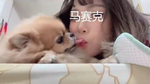 视频 女人与狗,情感纽带与生活陪伴