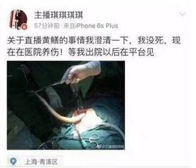 黄鳝门哪里能在线观看,揭秘网络热点的在线观看指南