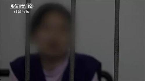 黄鳝门哪里能在线观看,揭秘网络热点的在线观看指南