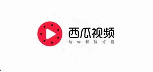 今日头条小瓜视频,揭秘今日热点，带你领略短视频的魅力