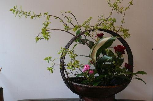 花篮插花视频,跟随视频轻松打造家居美饰