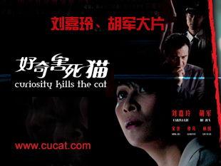电影好奇害死猫在线观看,揭秘电影背后的悬疑世界